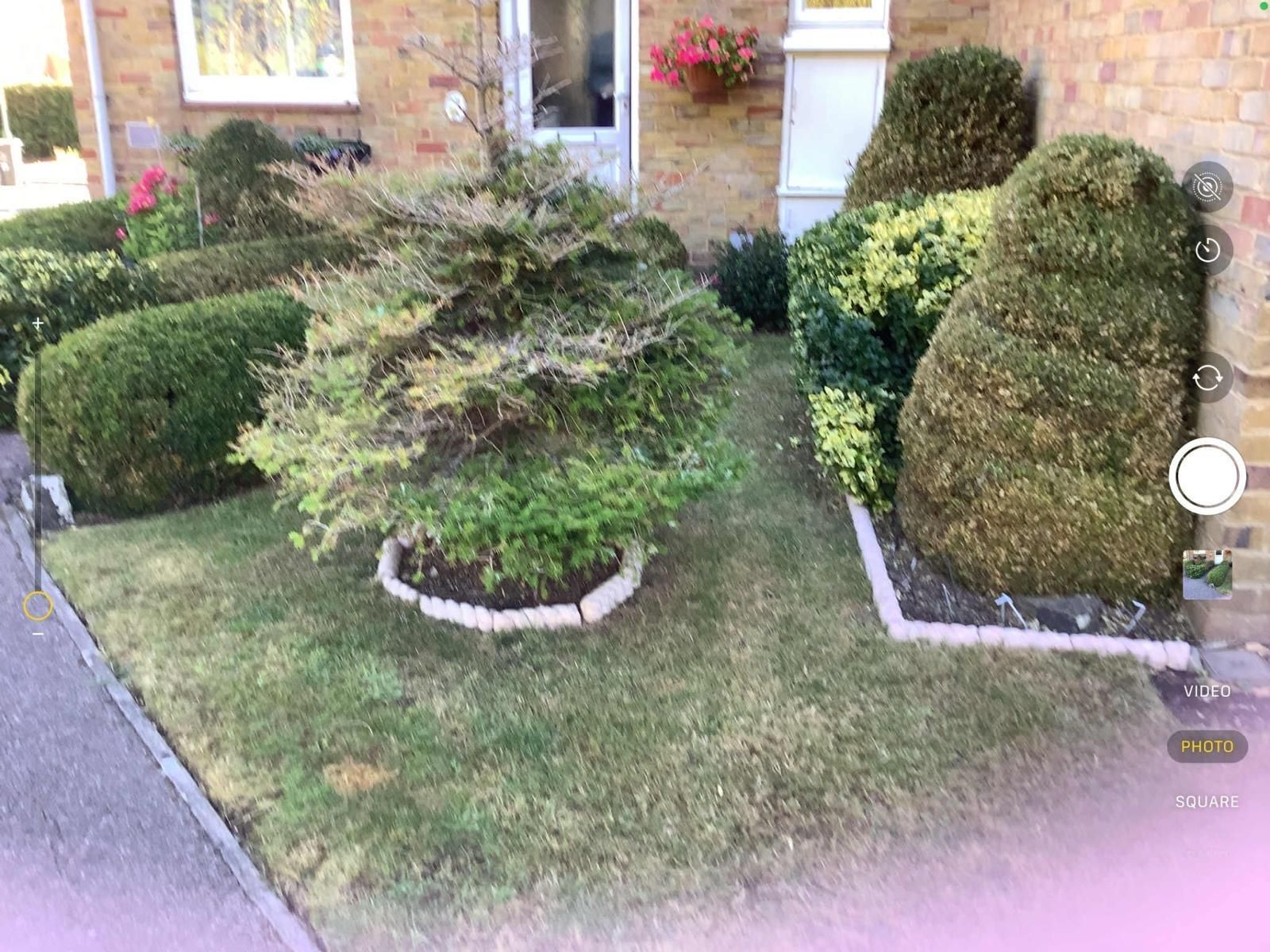 TJH Gardens & Landscaping project 16